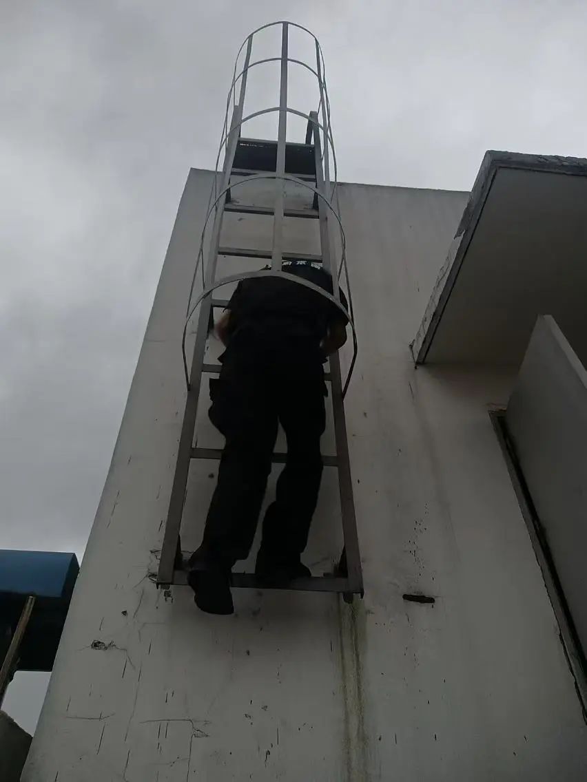 C:/Users/BA/Desktop/風(fēng)雨過后南京保安迅速行動，恢復(fù)安“寧”面貌/3.jpg3