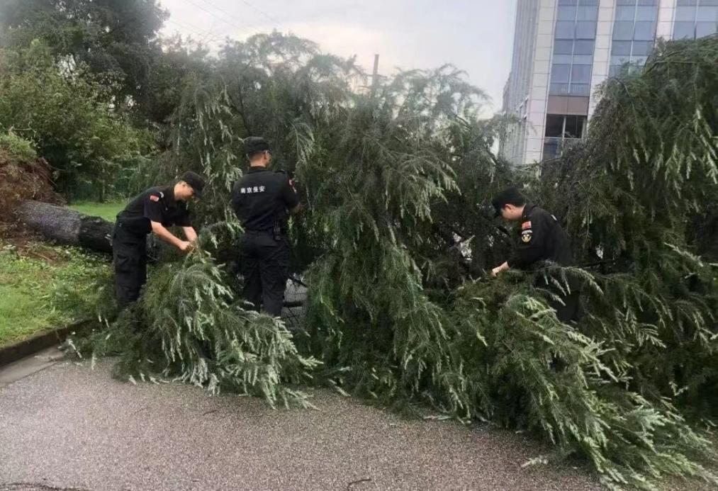 C:/Users/BA/Desktop/風(fēng)雨過后南京保安迅速行動，恢復(fù)安“寧”面貌/1.jpg1